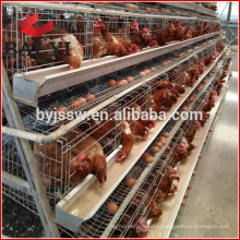 2017 Hot Sale Layer Chicken Cage Type In Baiyi Factory